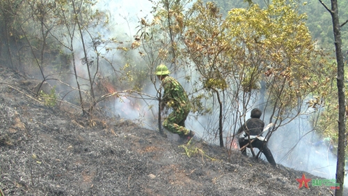 Đoàn Kinh tế-Quốc phòng 356, Quân khu 2 giúp dân chữa cháy rừng